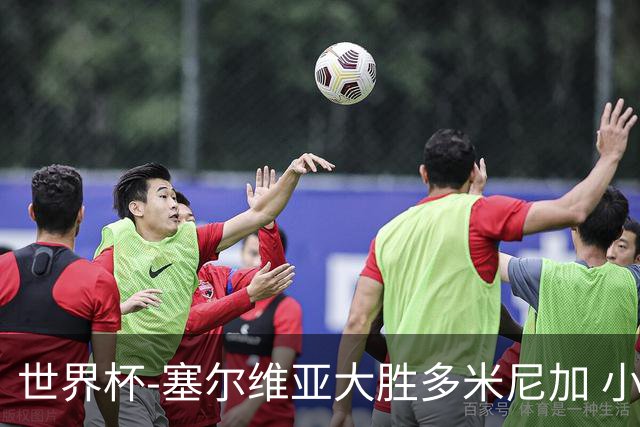 世界杯-塞尔维亚大胜多米尼加 小组第二进八强